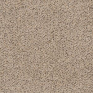 Dreamweaver Carpet Toast Of The Town Winter Blanket Carpet 5315_106