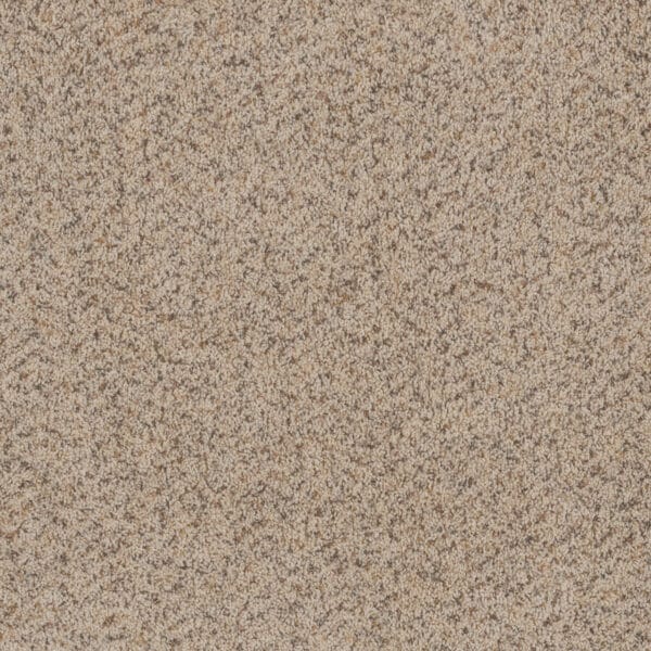 Dreamweaver Carpet Toast Of The Town Winter Blanket Carpet 5315_106
