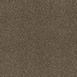 Dreamweaver Carpet Toast Of The Town Urbane Carpet 5315_264