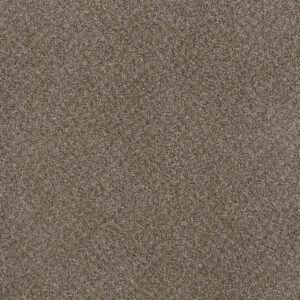 Dreamweaver Carpet Toast Of The Town English Stone Carpet 5315_276