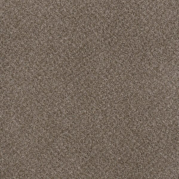 Dreamweaver Carpet Toast Of The Town English Stone Carpet 5315_276