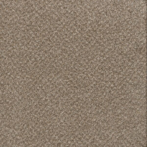 Dreamweaver Carpet Toast Of The Town Natural Cotton Carpet 5315_309