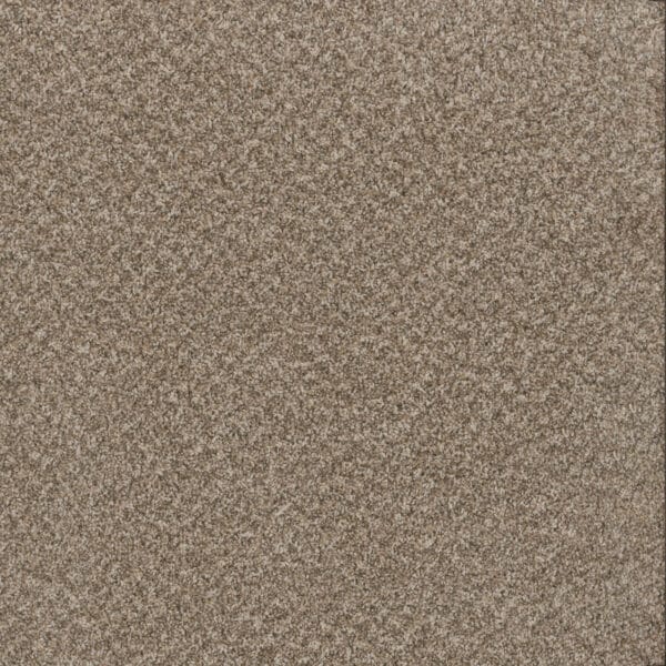 Dreamweaver Carpet Toast Of The Town Natural Cotton Carpet 5315_309