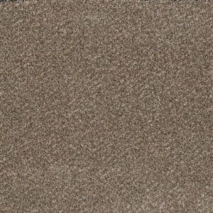 Dreamweaver Carpet Toast Of The Town Marble Heights Carpet 5315_403