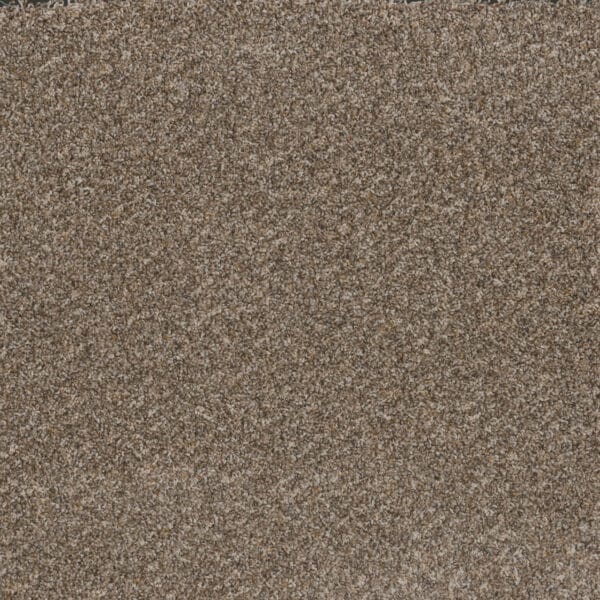Dreamweaver Carpet Toast Of The Town Marble Heights Carpet 5315_403