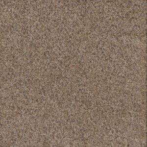 Dreamweaver Carpet Toast Of The Town Briarwood Carpet 5315_503