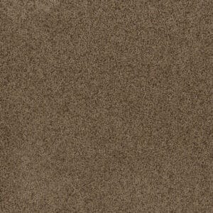 Dreamweaver Carpet Toast Of The Town Sandalwood Carpet 5315_511