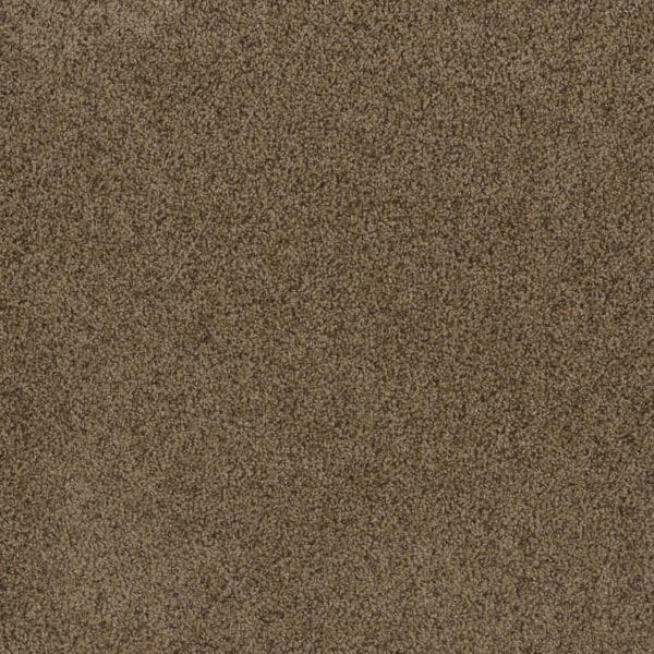 Dreamweaver Carpet Toast Of The Town Sandalwood Carpet 5315_511