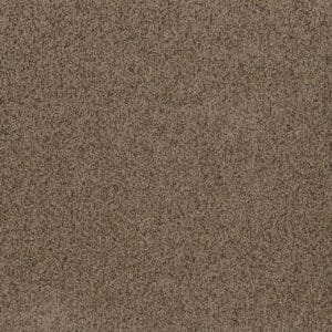 Dreamweaver Carpet Toast Of The Town Vallum Carpet 5315_531