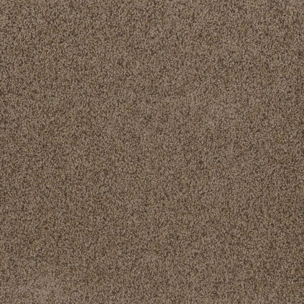 Dreamweaver Carpet Toast Of The Town Vallum Carpet 5315_531