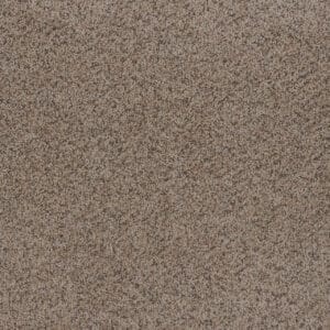 Dreamweaver Carpet Toast Of The Town Oyster Bay Carpet 5315_536