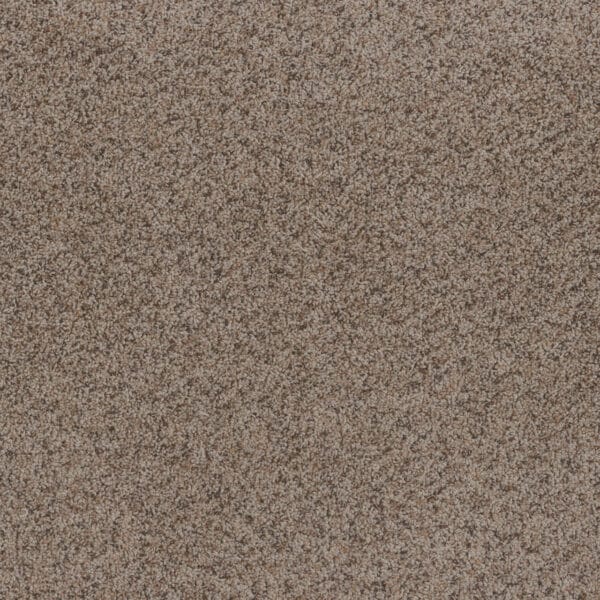 Dreamweaver Carpet Toast Of The Town Oyster Bay Carpet 5315_536