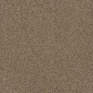 Dreamweaver Carpet Toast Of The Town Oakfield Carpet 5315_690