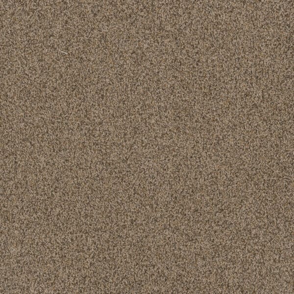 Dreamweaver Carpet Toast Of The Town Oakfield Carpet 5315_690