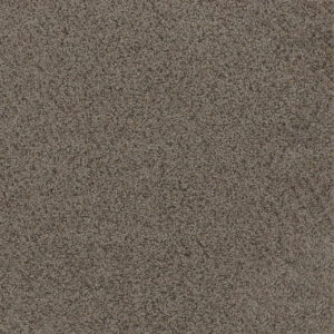 Dreamweaver Carpet Toast Of The Town Rugged Suede Carpet 5315_808