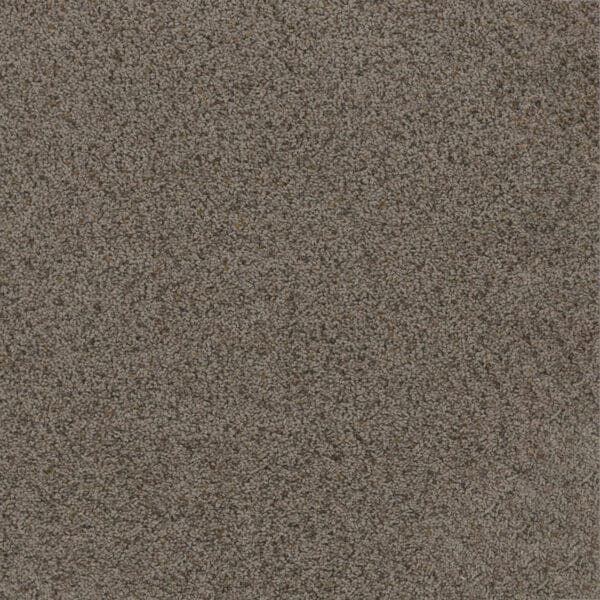 Dreamweaver Carpet Toast Of The Town Rugged Suede Carpet 5315_808