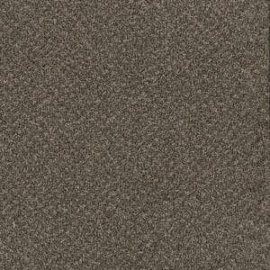 Dreamweaver Carpet Toast Of The Town Wrought Iron Carpet 5315_872