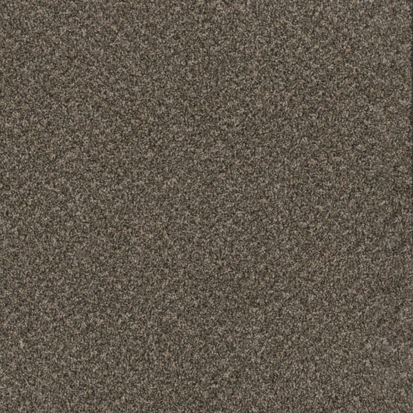 Dreamweaver Carpet Toast Of The Town Wrought Iron Carpet 5315_872