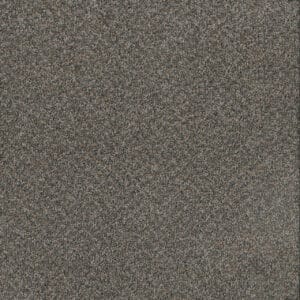 Dreamweaver Carpet Toast Of The Town Flagstone Carpet 5315_884