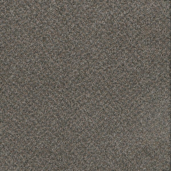 Dreamweaver Carpet Toast Of The Town Flagstone Carpet 5315_884