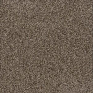 Dreamweaver Carpet Toast Of The Town Tanzanite Carpet 5315_895