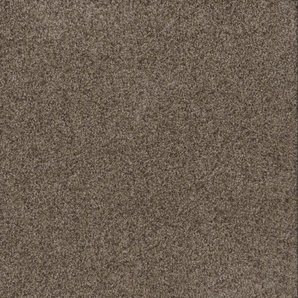 Dreamweaver Carpet Toast Of The Town Tanzanite Carpet 5315_895