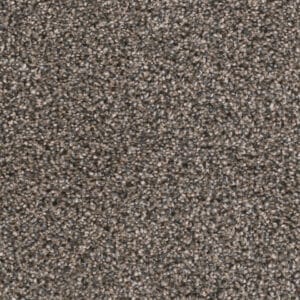 Dreamweaver Carpet Reflections I Imperial Sable Carpet 5348_134