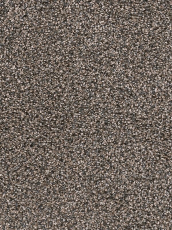 Dreamweaver Carpet Reflections I Imperial Sable Carpet 5348_134