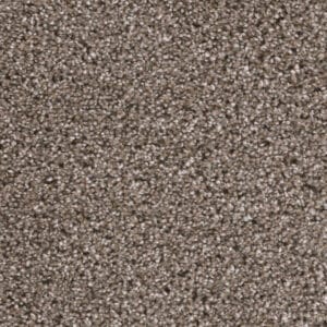 Dreamweaver Carpet Reflections I Pavestone Carpet 5348_195
