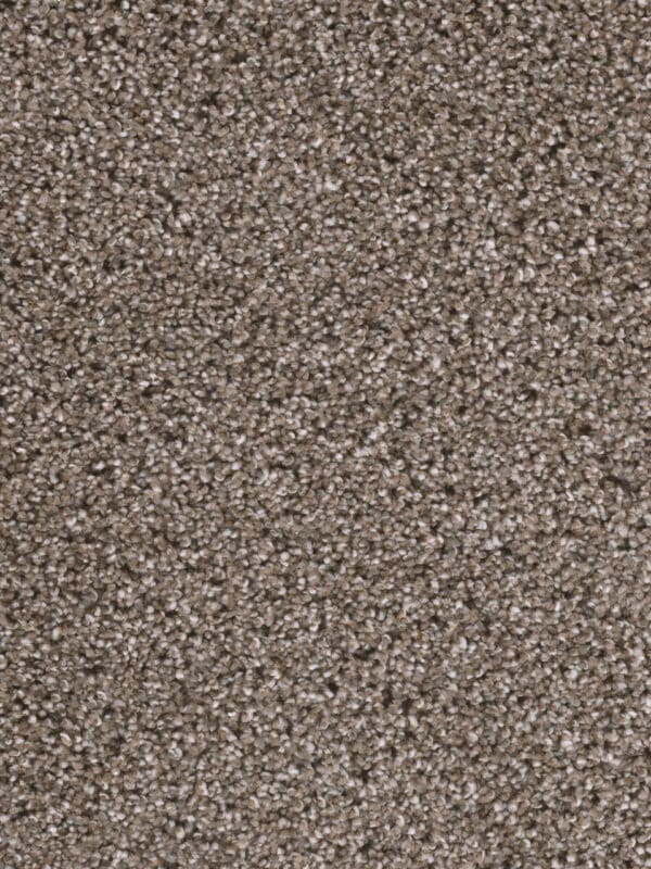 Dreamweaver Carpet Reflections I Pavestone Carpet 5348_195