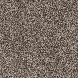 Dreamweaver Carpet Reflections I Twig Carpet 5348_247