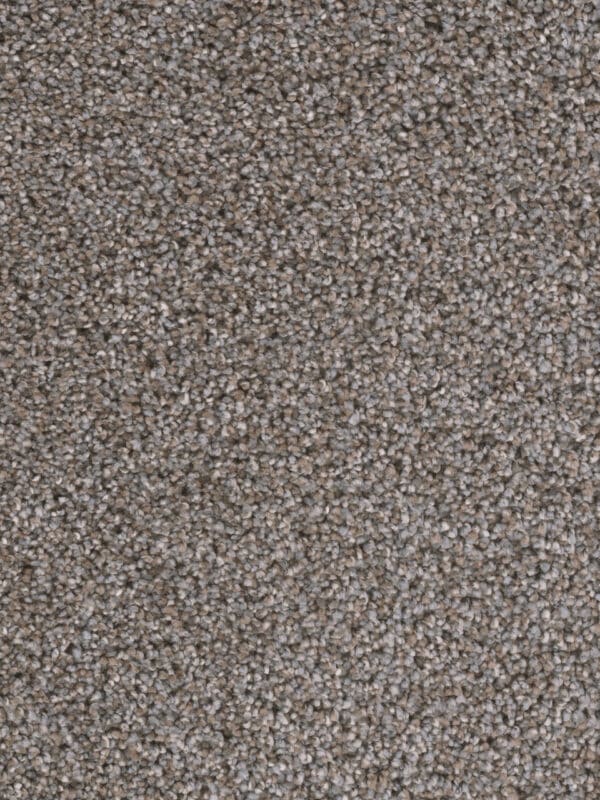 Dreamweaver Carpet Reflections I Crestwood Carpet 5348_265