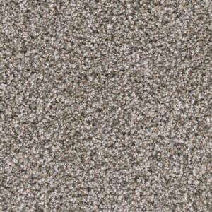 Dreamweaver Carpet Reflections I Sageview Carpet 5348_327