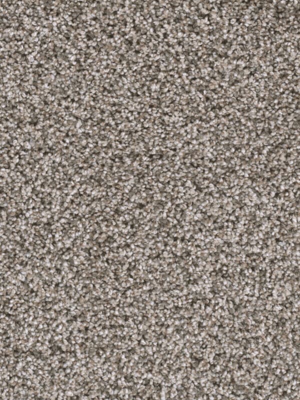Dreamweaver Carpet Reflections I Sageview Carpet 5348_327
