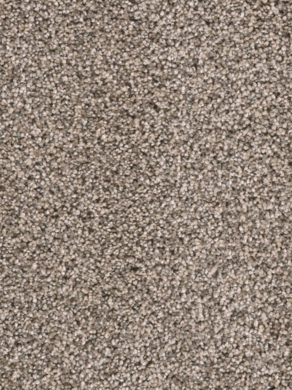 Dreamweaver Carpet Reflections I Oxford Stone Carpet 5348_359