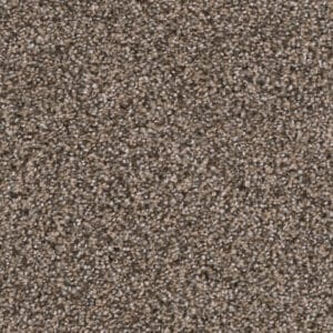 Dreamweaver Carpet Reflections I Smokey Taupe Carpet 5348_381