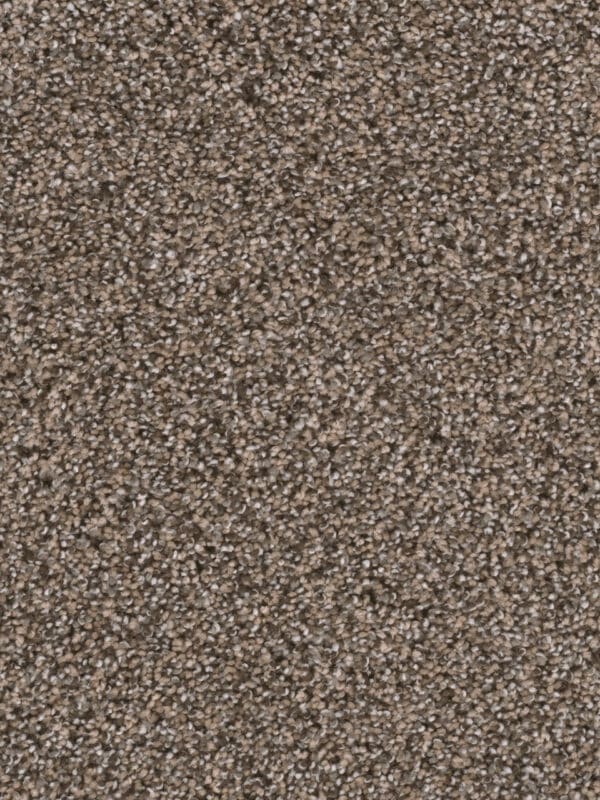 Dreamweaver Carpet Reflections I Smokey Taupe Carpet 5348_381