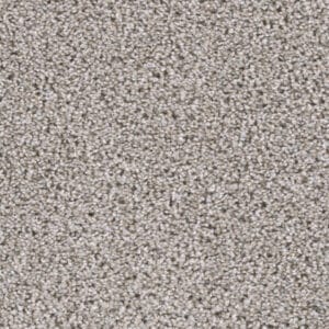 Dreamweaver Carpet Reflections I Antique Cameo Carpet 5348_386