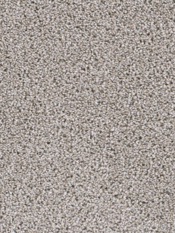 Dreamweaver Carpet Reflections I Antique Cameo Carpet 5348_386