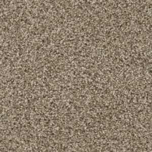 Dreamweaver Carpet Reflections I Sand Bluff Carpet 5348_440