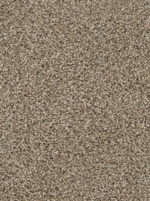 Dreamweaver Carpet Reflections I Sand Bluff Carpet 5348_440