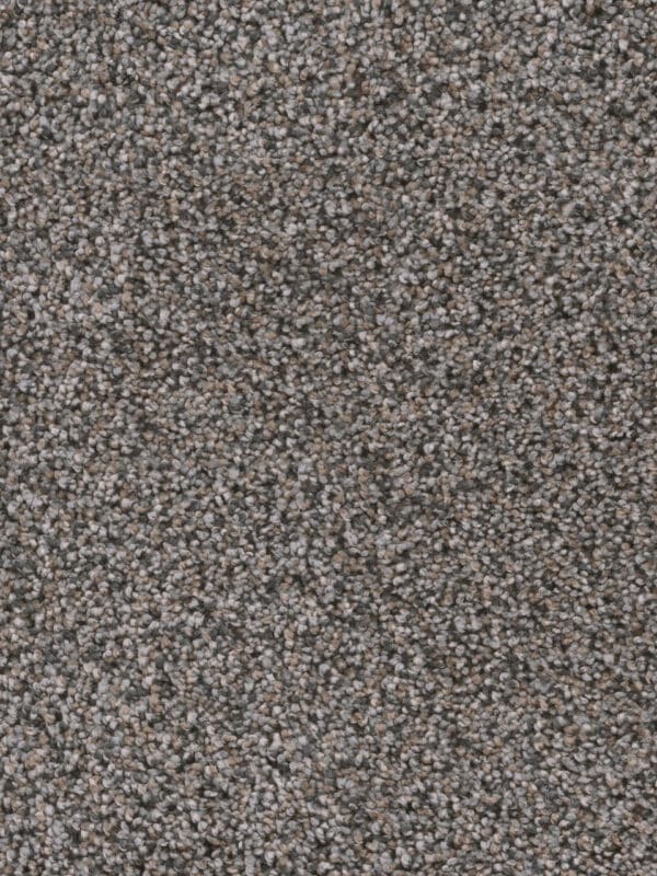 Dreamweaver Carpet Reflections I Ash Grove Carpet 5348_899