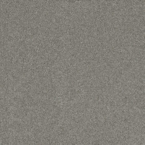 Dreamweaver Carpet Silver Lining III Alto Carpet 6033_2820