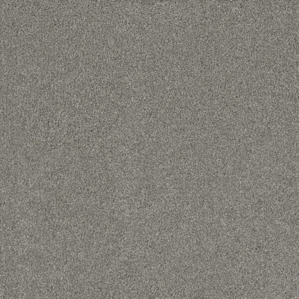 Dreamweaver Carpet Silver Lining III Alto Carpet 6033_2820