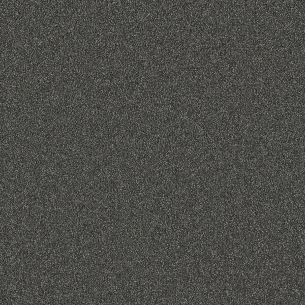 Dreamweaver Carpet Silver Lining III Storm Carpet 6033_2828