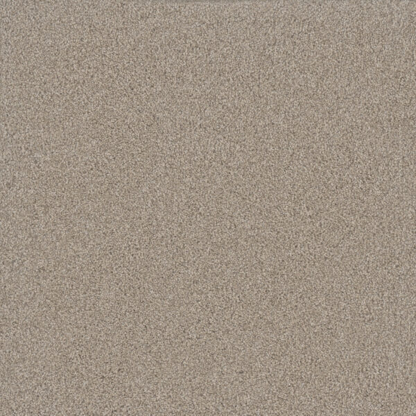 Dreamweaver Carpet Silver Lining III Nimbus Carpet 6033_2838