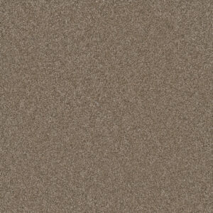 Dreamweaver Carpet Silver Lining III Dust Carpet 6033_2892
