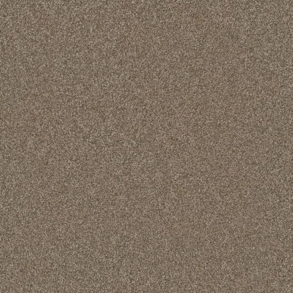 Dreamweaver Carpet Silver Lining III Dust Carpet 6033_2892