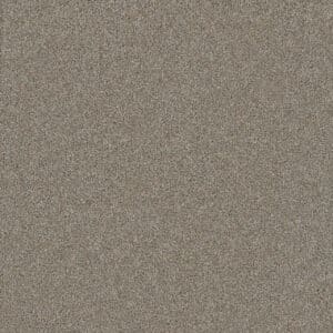 Dreamweaver Carpet Silver Lining III Cirrus Carpet 6033_2904
