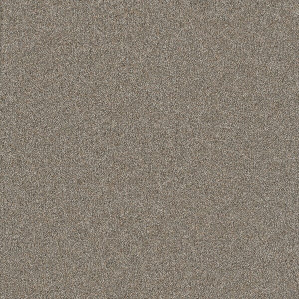 Dreamweaver Carpet Silver Lining III Cirrus Carpet 6033_2904